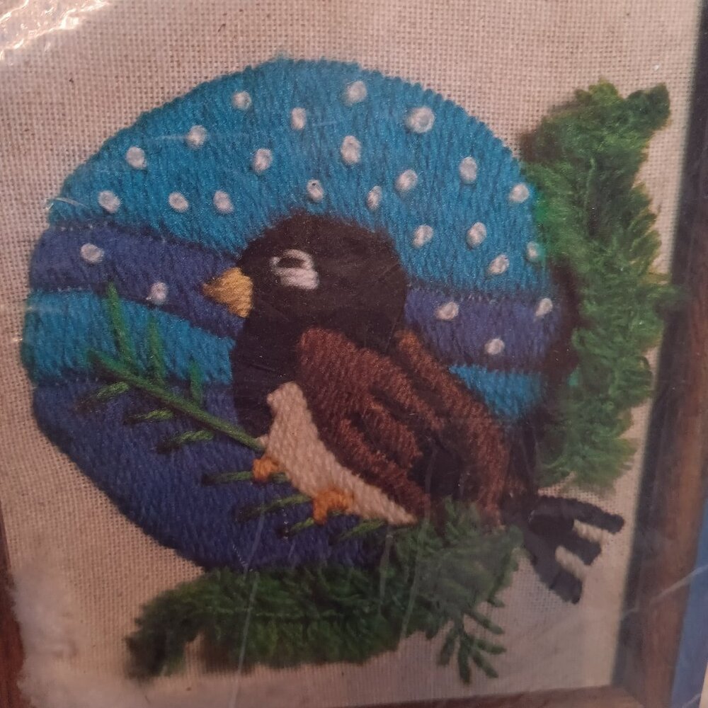 Super Stitchery Vintage 1982 Snow Bird nature cross stitch pattern kit NOS